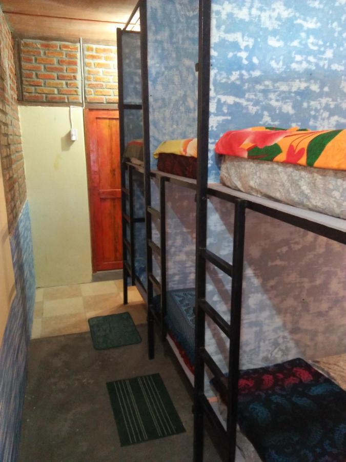 Salty Dog Hostel Telukdalem Dış mekan fotoğraf