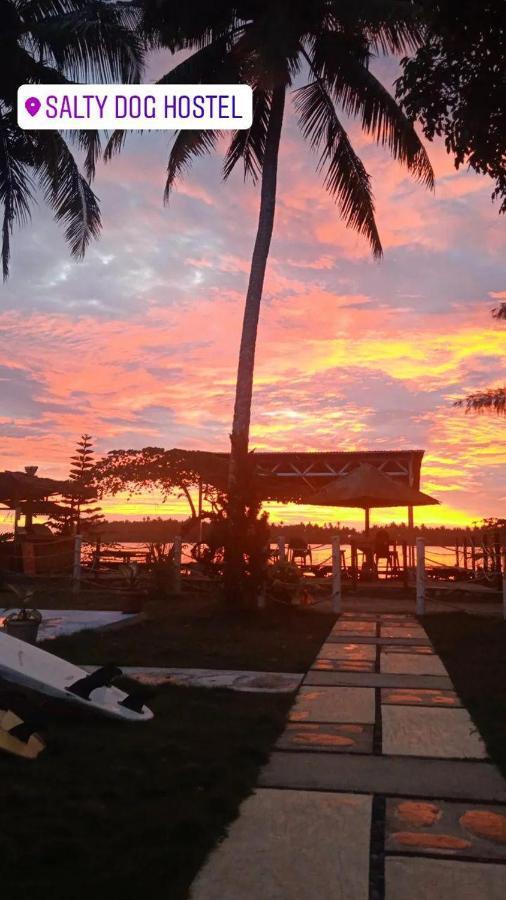 Salty Dog Hostel Telukdalem Dış mekan fotoğraf