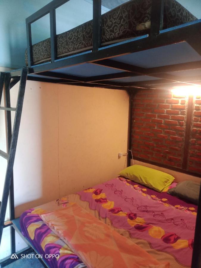 Salty Dog Hostel Telukdalem Dış mekan fotoğraf